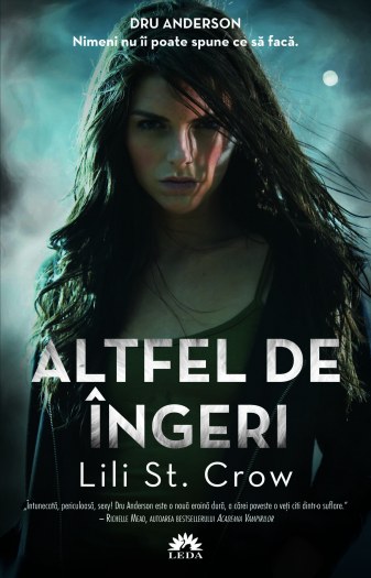 4293-altfel-de-ingeri